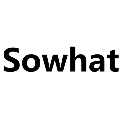 sowhat sowhat什么意思